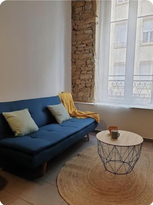 P'Tit Canut : Studio Tout Equipe Proche Centre Et Gare Lyon Zewnętrze zdjęcie
